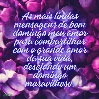 Baixe Mensagem de bom dia domingo para WhatsApp com flores lindas 3