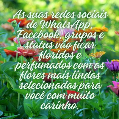 Baixe Mensagem de bom dia domingo para WhatsApp com flores lindas 2