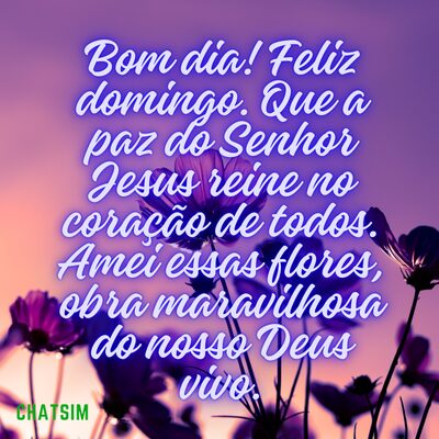 Baixe Mensagem de bom dia domingo para WhatsApp com flores lindas 5